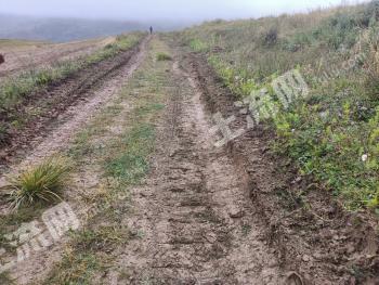 海东乐都区 481亩 旱地 合作