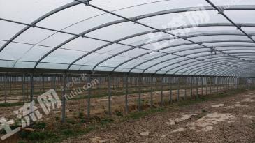 南昌新建区21.31亩旱地蔬菜扶贫大棚经营权出租