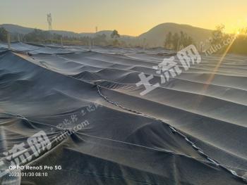 玉溪江川区130亩水浇地经营权出租