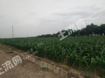 吴忠青铜峡市 94亩 水浇地 出租