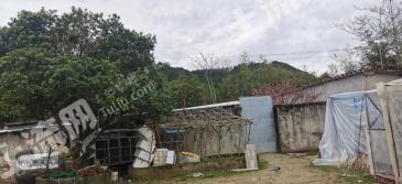 福州晋安区 3亩 农场 使用权合作