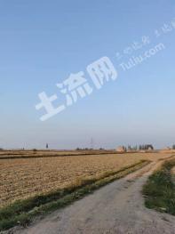 吴忠青铜峡市32亩果园 转让