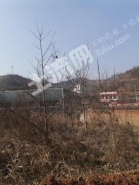 陇南成县 800亩 空闲用地 合作