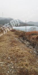 宣城泾县 60亩 旱地 经营权出租