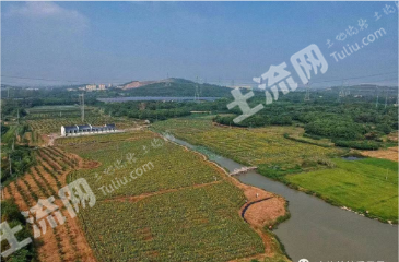 芜湖弋江区 210亩 乔木林地 经营权转让