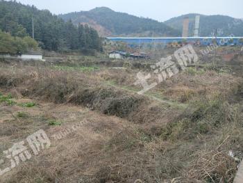 萍乡上栗县 150亩 水田 经营权出租