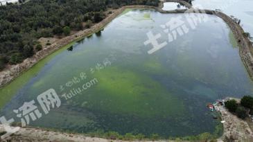 汕尾陆丰市 110亩 坑塘水面 经营权出租