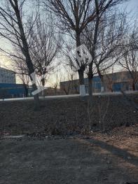 沈阳苏家屯区 10亩 其它耕地 经营权转让