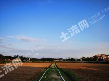 江门恩平市14.3亩水田经营权转让