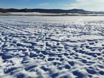 呼伦贝尔鄂伦春自治旗600亩旱地出租