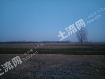 菏泽牡丹区 10亩 水田经营权 出租