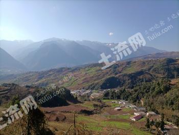 凉山普格县 1000亩 旱地 经营权出租