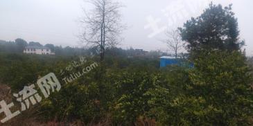 永州零陵区40亩果园经营权转让