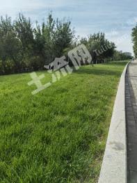 鄂尔多斯鄂托克旗 4000亩 天然牧草地 经营权转让