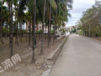 三亞天涯區(qū)2畝3個(gè)戶宅基地使用權(quán)出租