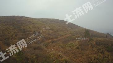 萍乡上栗县 150.59亩 其它林地 经营权出租