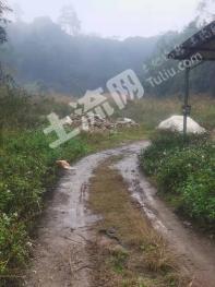 玉林兴业县 12亩 空闲用地 出租