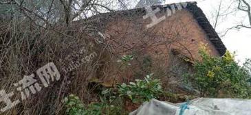 益阳沅江市 120平米 农家庭院 使用权出租