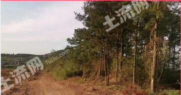 常州金坛区 149184平米 城镇住宅用地 使用权出让