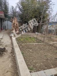 南阳宛城区3亩设施农用地使用权出租