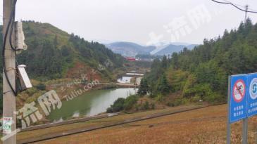 萍乡上栗县 2000亩 有林地 经营权出租