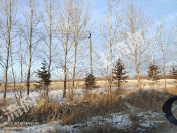 大庆让胡路区1000亩旱地经营权转包