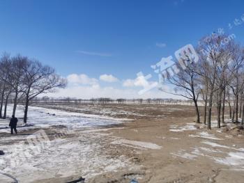 张家口张北县 1503.02亩 水浇地 出租