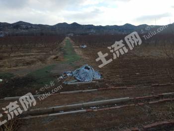葫芦岛建昌县 100亩 水浇地 经营权转包