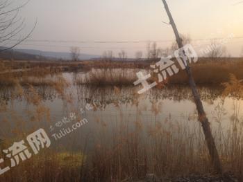 三门峡灵宝市 54.4亩 水产养殖用地 经营权转让