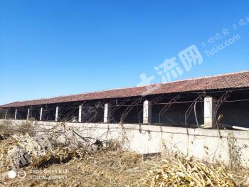 唐山玉田县 2亩 畜牧养殖用地经营权 转包