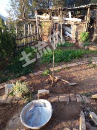 大理大理市350平方米農(nóng)村宅基地使用權(quán)合作