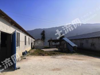 宜昌秭归县 3.8亩 畜牧养殖用地 经营权转让