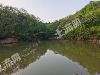 信阳浉河区 200亩 有林地经营权 转让