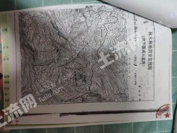 湖南张家界 1253亩 林场经营权转包