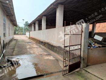 株洲石峰区 600平米 农家庭院 使用权出租