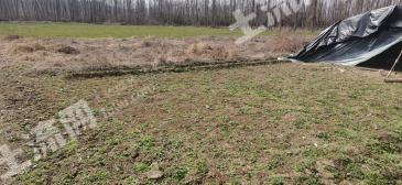 汉中勉县 203.14亩 有林地 经营权出租