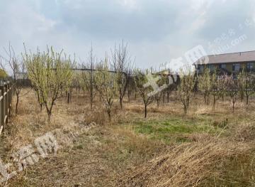 盘锦兴隆台区 1亩 果园 经营权转让