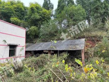 重慶榮昌區(qū) 300平米 農(nóng)村宅基地 使用權(quán)出租