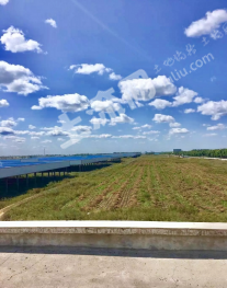 黑龙江哈尔滨双城区 440亩 工业用地使用权 转让