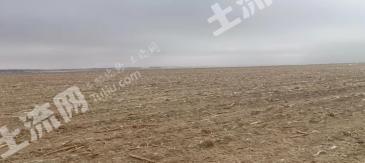 阿勒泰福海县 5600亩 水浇地 经营权出租