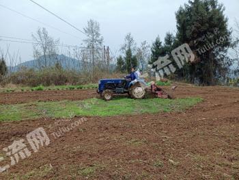 南充阆中市 420亩 旱地 经营权出租
