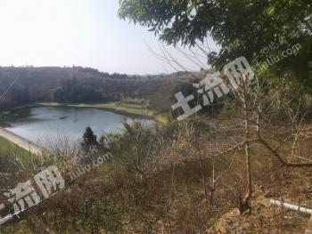 德阳中江县53亩畜牧养殖用地经营权转让