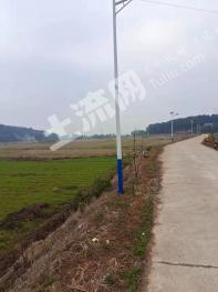 长沙宁乡市 2000亩 水稻田 经营权出租