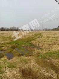 安庆怀宁县 180亩 水田 经营权出租