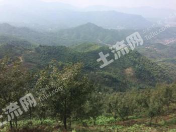 宣城广德县 116.55亩 其它林地 经营权转让