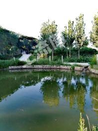 泰安肥城市 400亩 空闲地 使用权转让