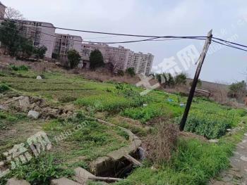 南昌青山湖区 15亩苗场 经营权流转