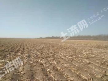 白城通榆县 21000亩 旱地 经营权出租