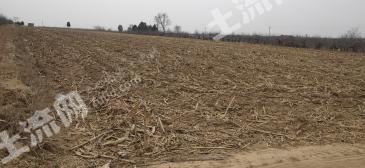 渭南白水县 20亩 水浇地 经营权出租