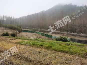 黄山黄山区 3300平米 农村宅基地 使用权出租